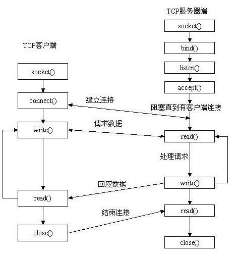 套接字接口概述